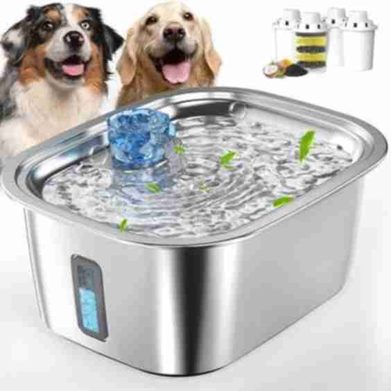 Stainless Steel Dog Water Fountain with 4 Filters