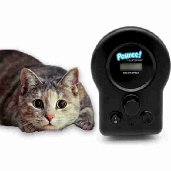 Pounce Complete Kit Cat Toy