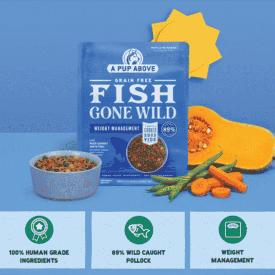 Fish Gone Wild Dog Food