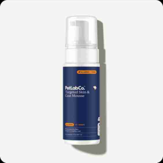 Targeted Skin & Coat Mousse - Dog Moisturizer