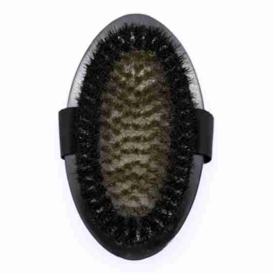 The Dry Body Brush