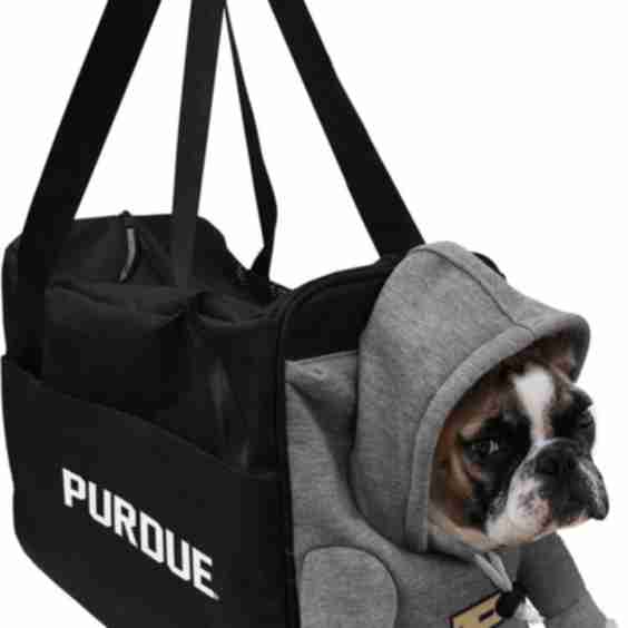 Furry Fan Airline-Approved Dog & Cat Carrier Bag