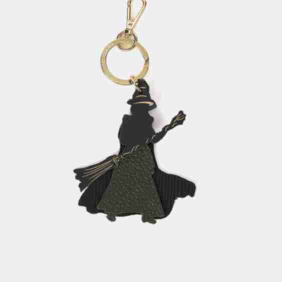 The Elphaba Charm 