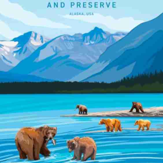 Katmai National Park And Preserve Postcard