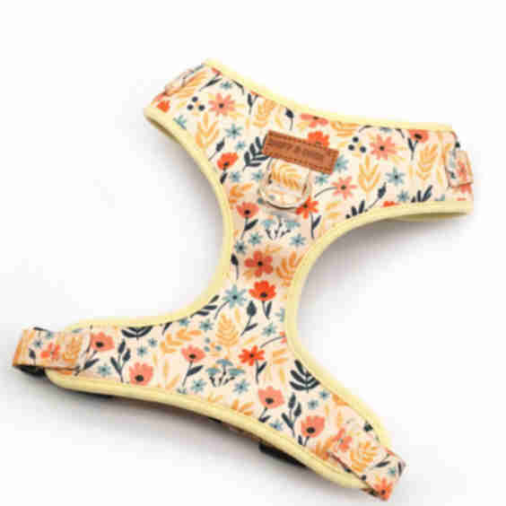 AllSet Harness – Adjustable Bliss (D Ring)