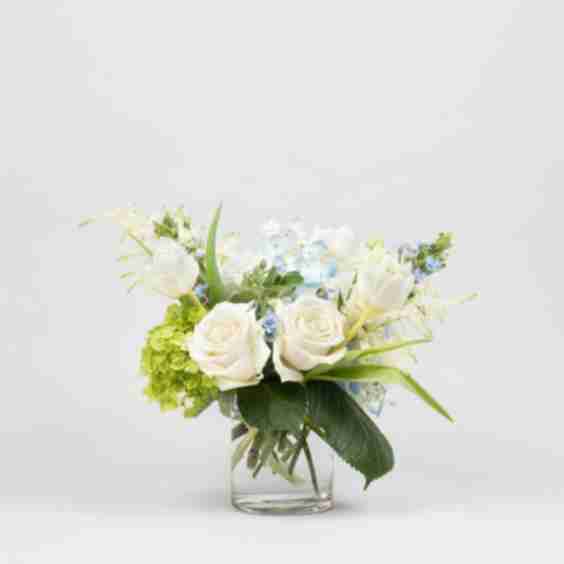 Baby Flowers