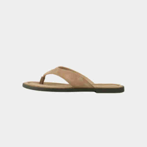 Zaida Slides