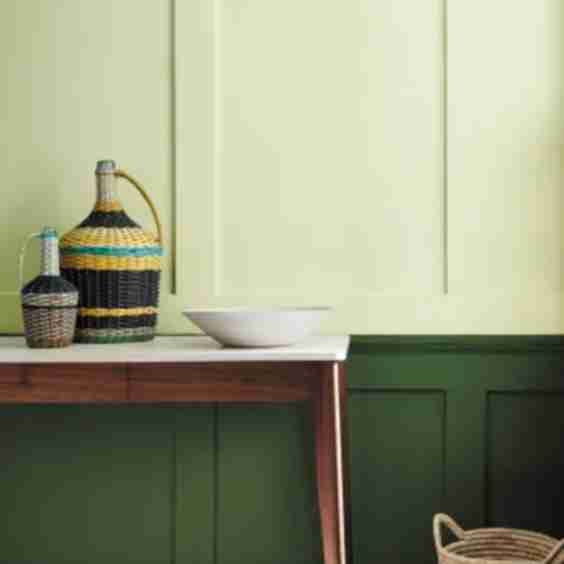 Acorn Paint