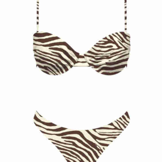 Zebra Bikini