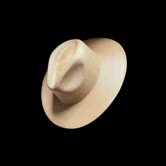 Petite Toasted Fine Palm Rancher Hat