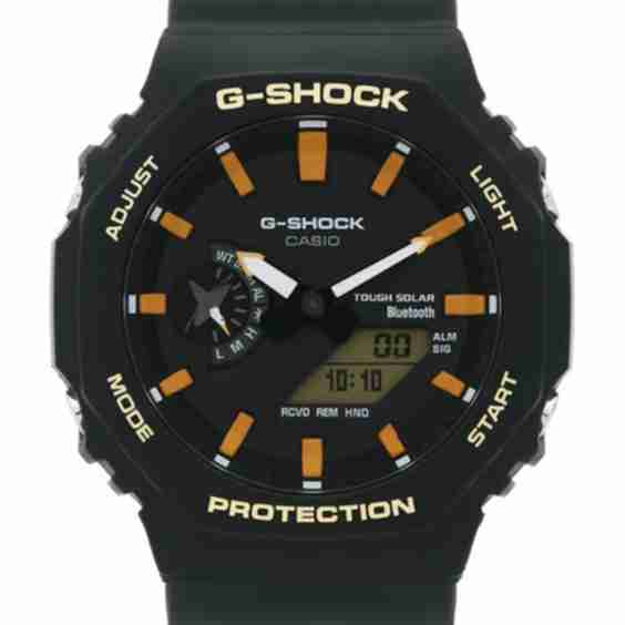 Charles Darwin Foundation Gab 2100 Series Watch