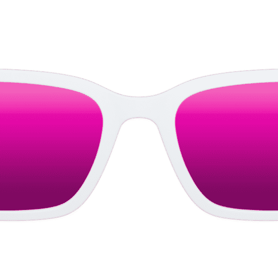 The Polarized Sunglasses