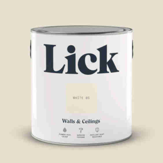White 05 Matt Paint 2.5L
