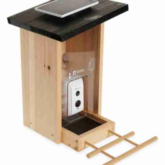 Ebony Lite Wooden Smart Bird Feeder