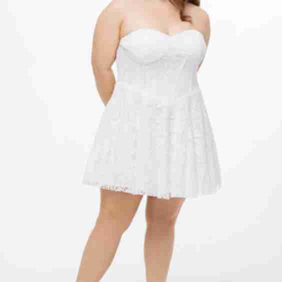 Strapless Lace Bustier Plus Size Party Dress