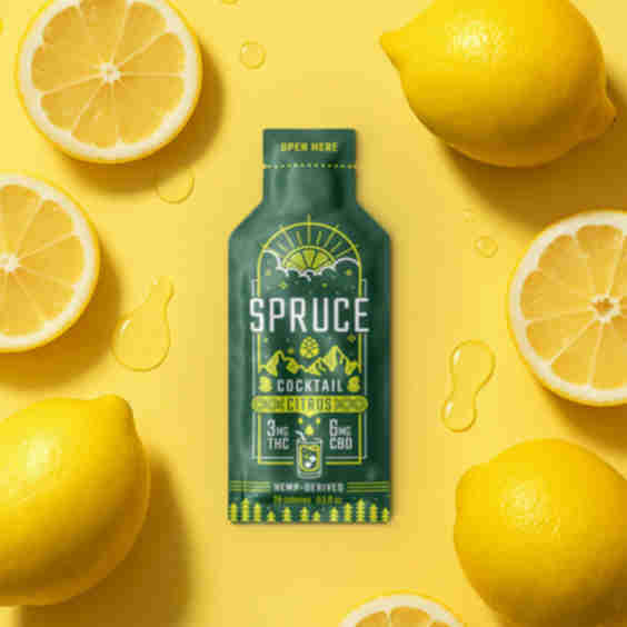 Grapefruit Rosemary Spruce Cocktail