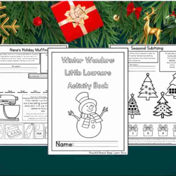 Winter Wonders: Little Learners Activity Book