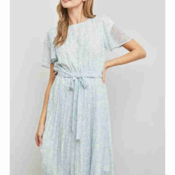 The "Aspen" Dainty  Midi Dress