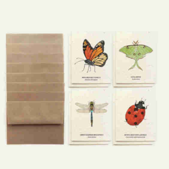Insect Card Set - Plantable Wildflower Seed Paper
