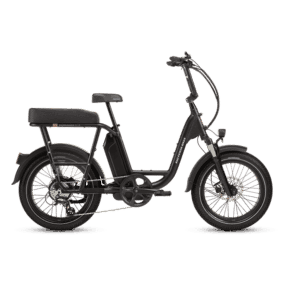 Radrunner Plus Electric Cargo Utility Bike