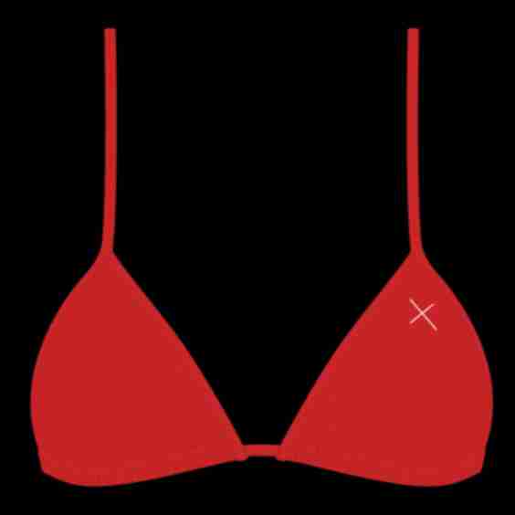 Bikini Top II