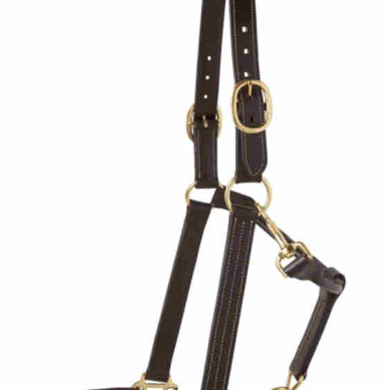 Suffolk Triple Stitched Halter