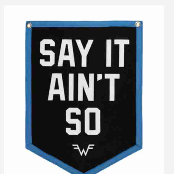 Say It Ain't So Camp Flag