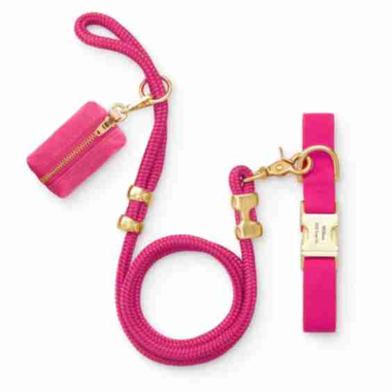 Collar Walk Set