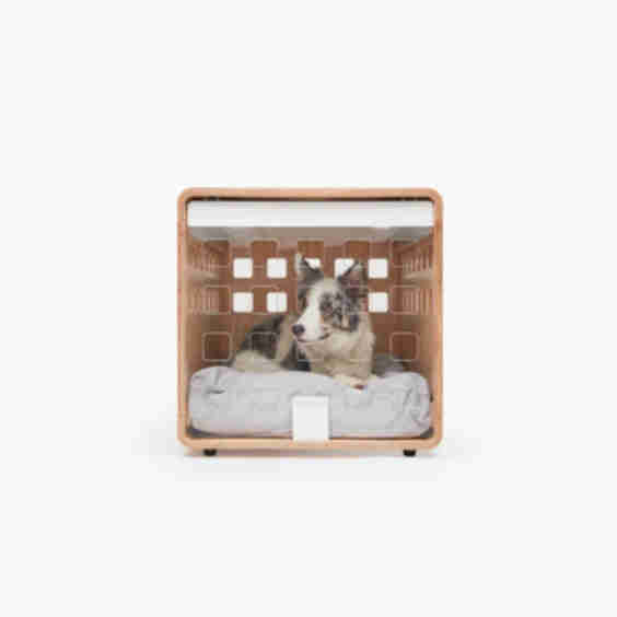Solid + Manufactured Wood Pet Crate with 1 Door