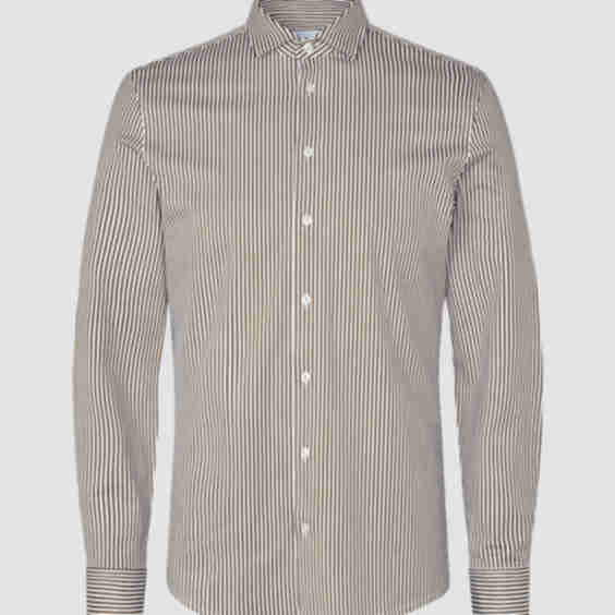 Classic Regular Fit Shirt