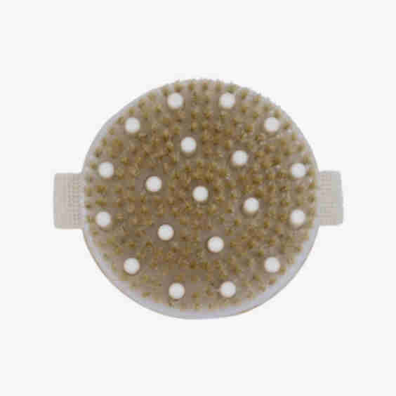 Bamboo Dry Brush