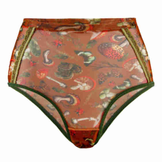Fairy High Waist Undies