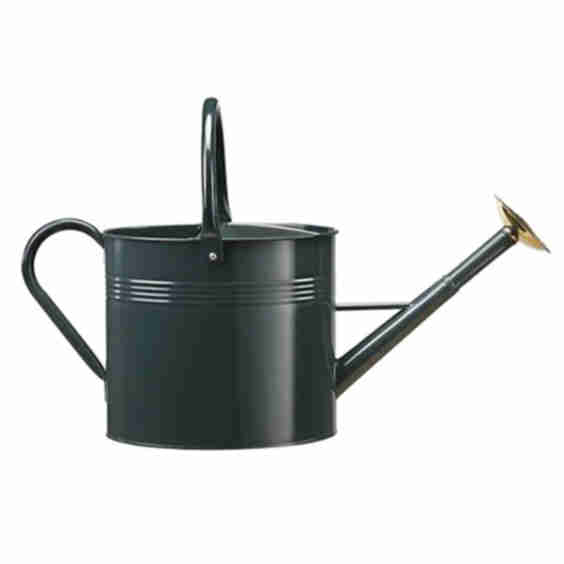 Metal Watering Can