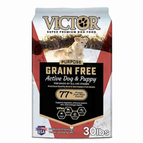 Grain Free Active Dog & Puppy Dry Dog Food