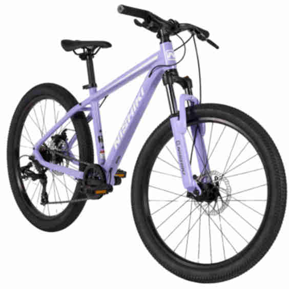 Youth 24” Colorado Mountain Bike