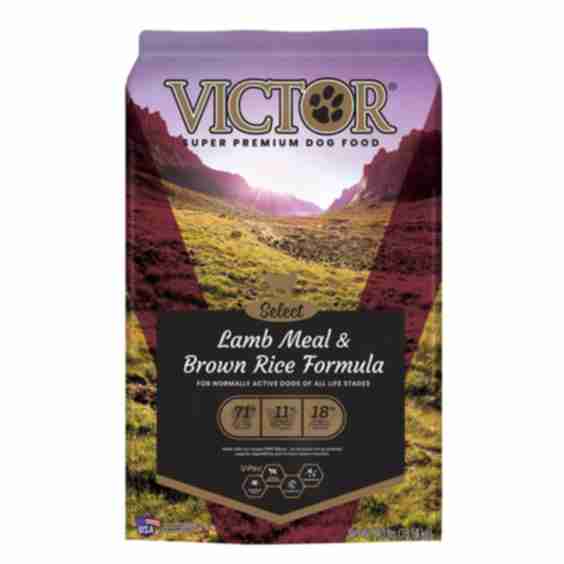 Select Lamb Meal and Brown Rice Formula Dry Dog Food