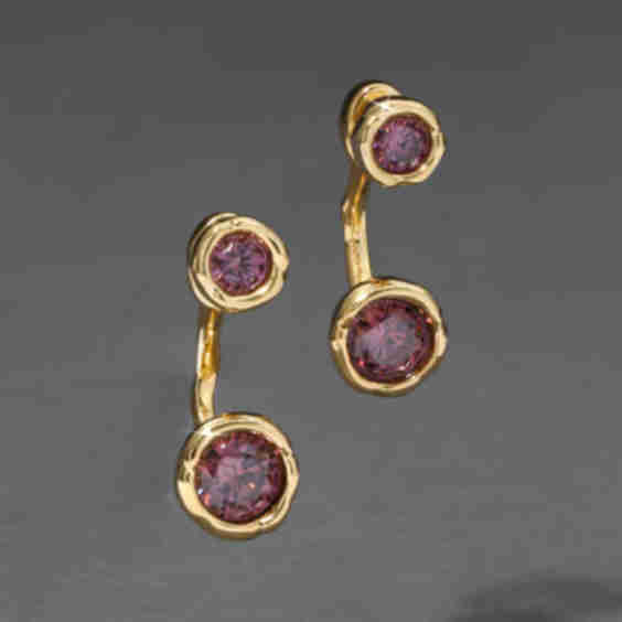Asterales Molten Front Back Earring