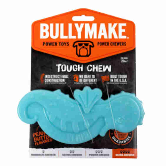 Seahorse with Peanut Butter Flavor Tough Chew Dog Toy