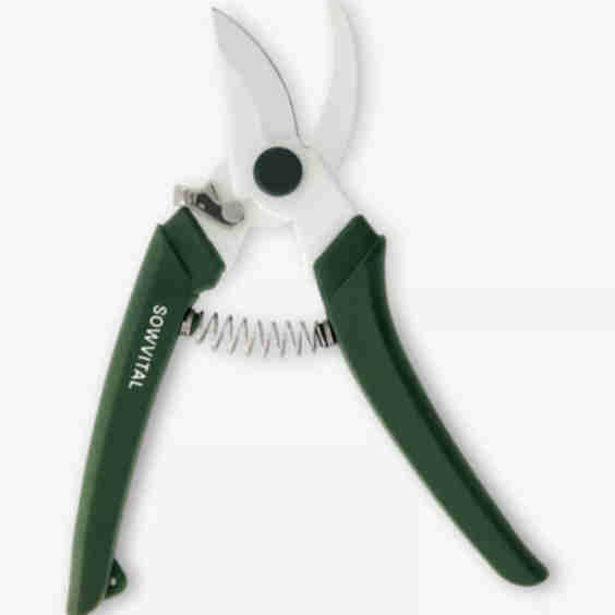 House Plant Secateurs