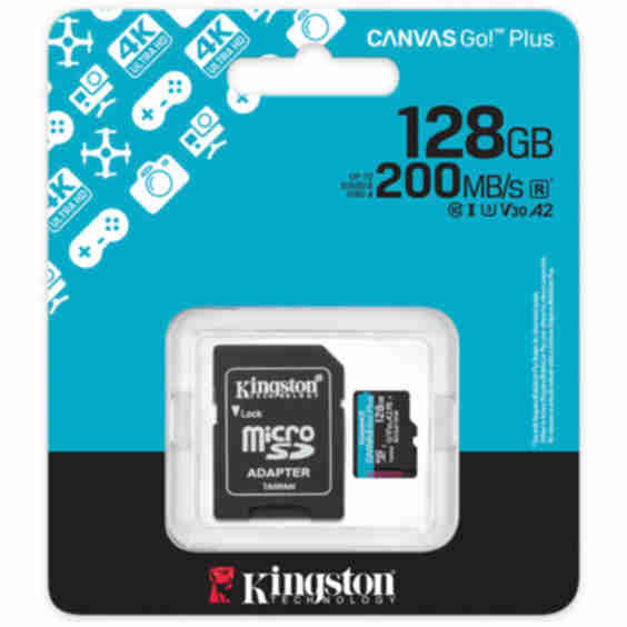 Canvas Go! Plus microSD memory card