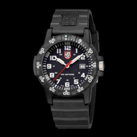  Leatherback Sea Turtle Giant - 0321 Watch