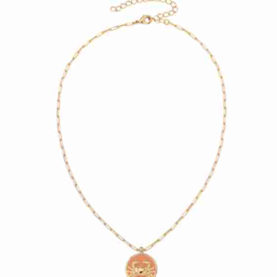 Zodiac Star Sign Necklace