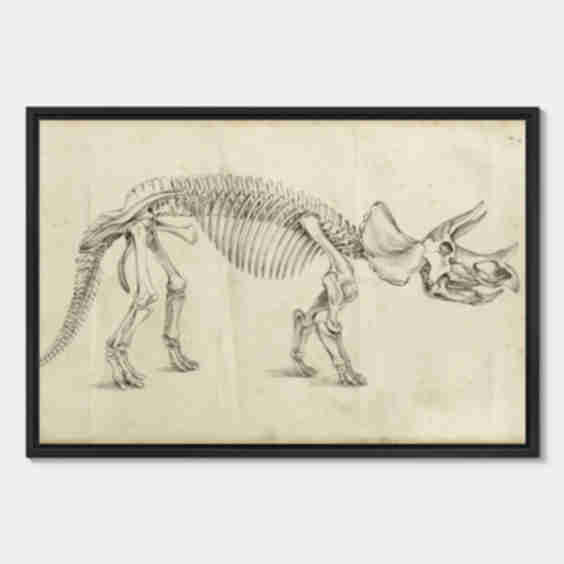 Dinosaur Study II Wall Art