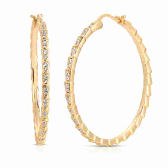 Viper Hoops Earrings