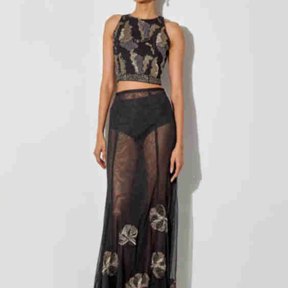 Halter Embroidered Top Paired With Mesh Skirt With Embroidery