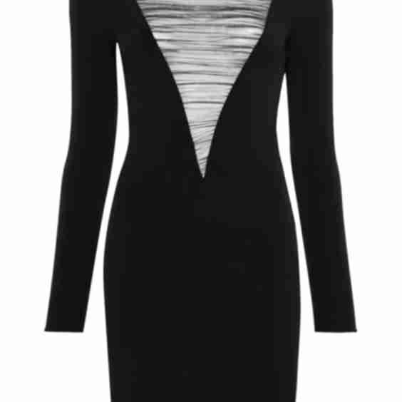 Nuit Fauve Long-Sleeve Mini Dress
