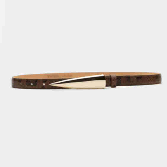 Arlo Belt 