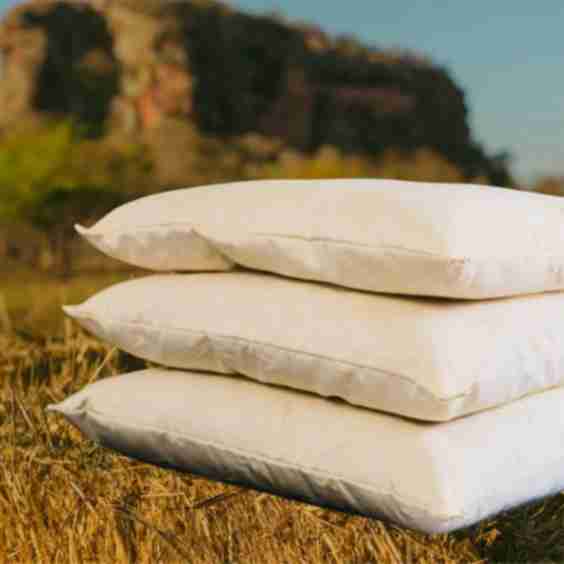 The Woolshire Pillow