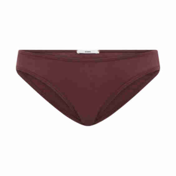 Genesis Brief