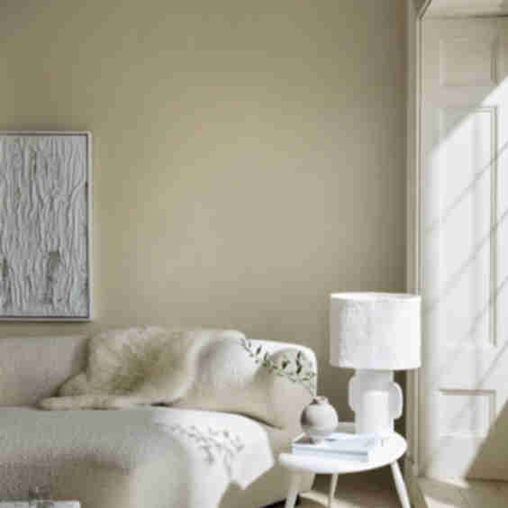 Silent White Deep Paint